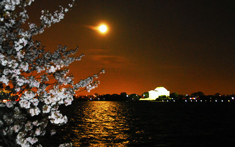 Jefferson, Blossoms and Moonrise