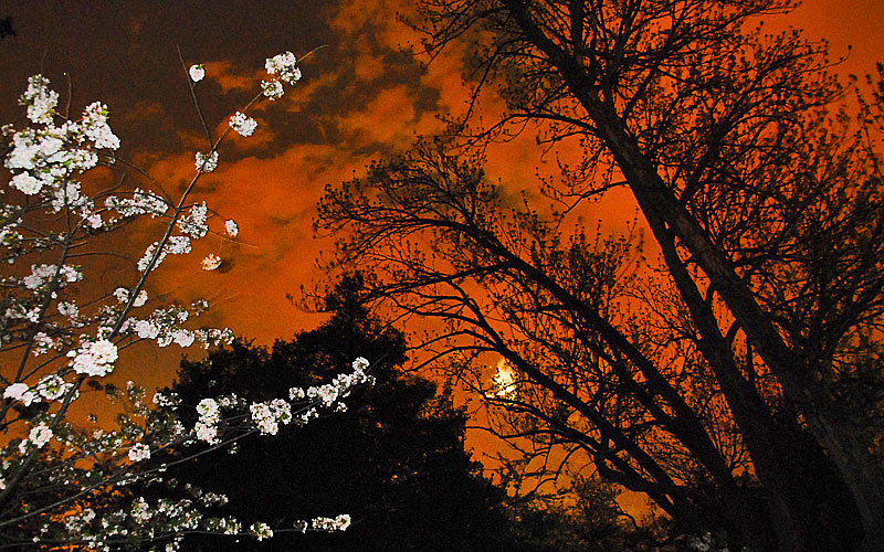 White on a red sky